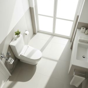 Asiento de Inodoro Ergonómico